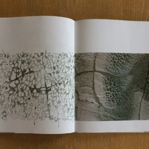 Cours de peinture et dessin Rolle